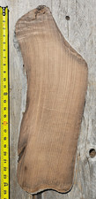 River Salvaged Live Edge Myrtlewood Slab Board  picture