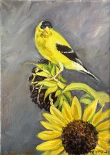 Original Oil Painting On Stretched Canvas American Goldfinch on Sunflower picture