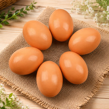Fake Nest Eggs Wooden Brown Easter Eggs for Craft Get Hens to Lay Eggs 6Pcs picture