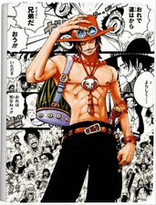 Portgas D Ace Manga UV Color or Laser Engraved Zipper 4-9-12 Slot Binder picture