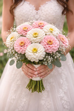 Blushing Bride Mix Zinnia Seeds | Soft Pink & White Zinnia Heirloom Flowers picture