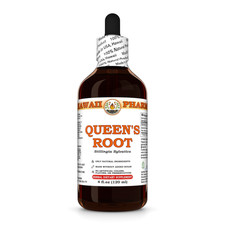 Queen's Root (Stillingia Sylvatica) Dried Root Liquid Herbal Extract picture