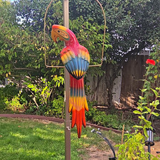 VTG Hand Painted Parrot 🦜 Lg Talavera Macaw Parrot Bird Animal Ceramic Mexican picture