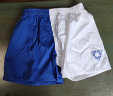 Vintage TOOL Band Giant Shorts M Blue White Embroidered Logo Made USA picture