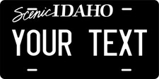 Any State Any Text 250 Designs License Plate Novelty  Custom Auto Car picture