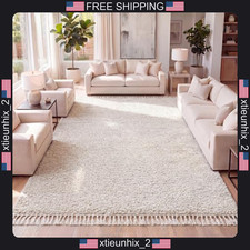Shag Area Rug 3x5 Cream Plush Polypropylene Modern Indoor Carpet picture