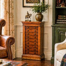 Amazing Antique Wellington Cabinet 19th Century English Wooden 10 Drawer Chest picture