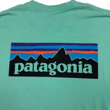 Patagonia Men's Regular Fit S/S Crewneck T-Shirt Green • Medium picture